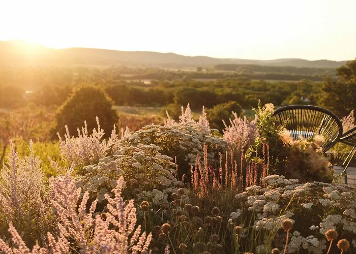 Сasa de vacaciones Dandelion Szőlőliget Kisapati